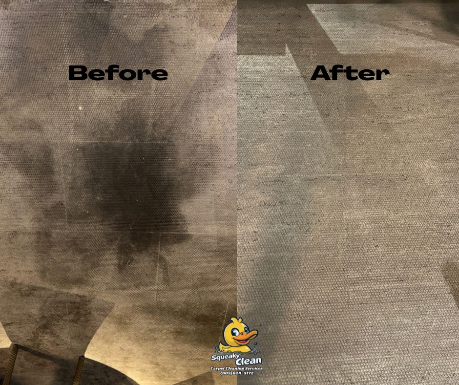 Carpet — heavy soil lifted