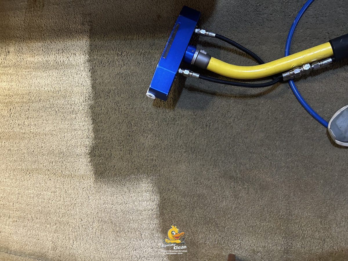 RV — Steam Cleaning