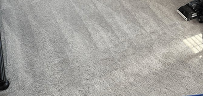 Gray carpet with fresh steam-cleaning wand lines